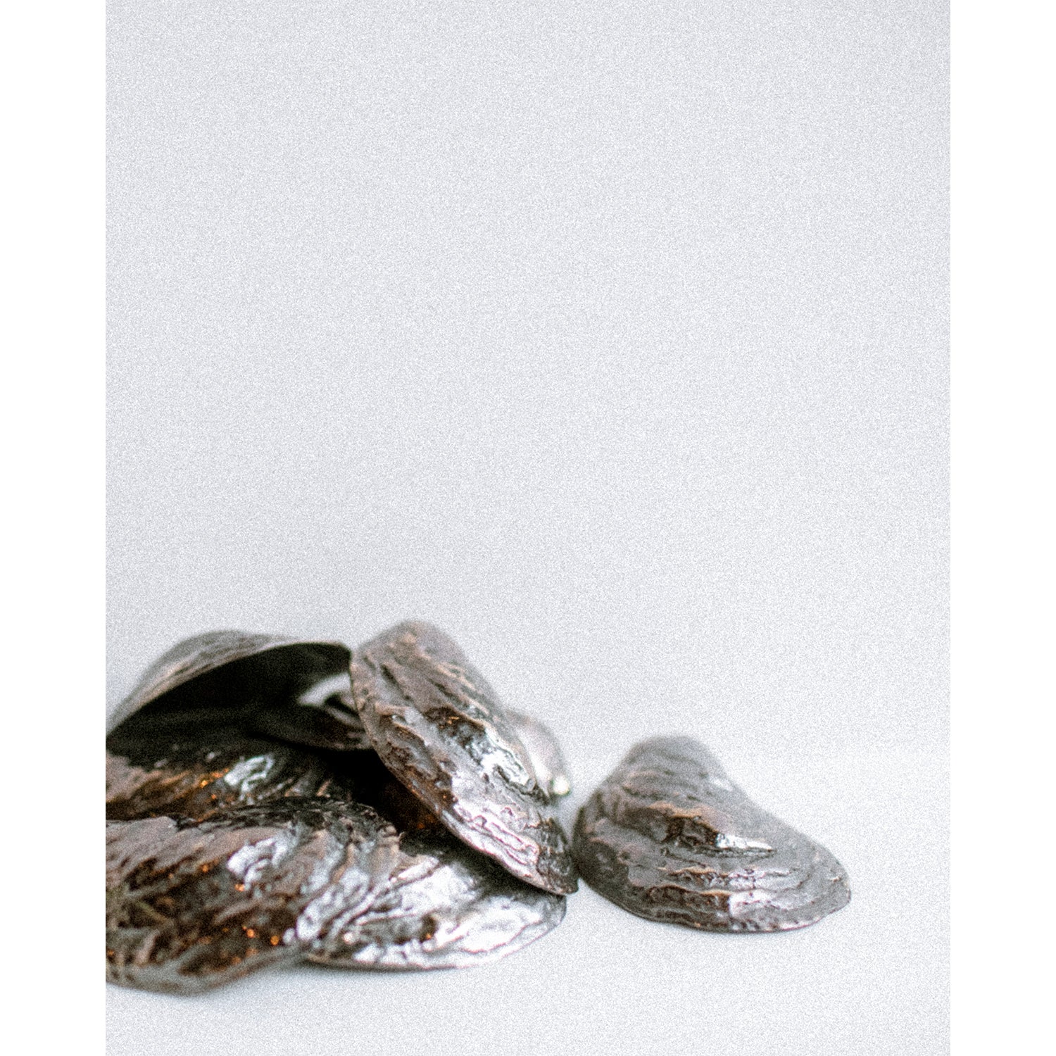 Mau House Oyster Bottle Opener - Image 3